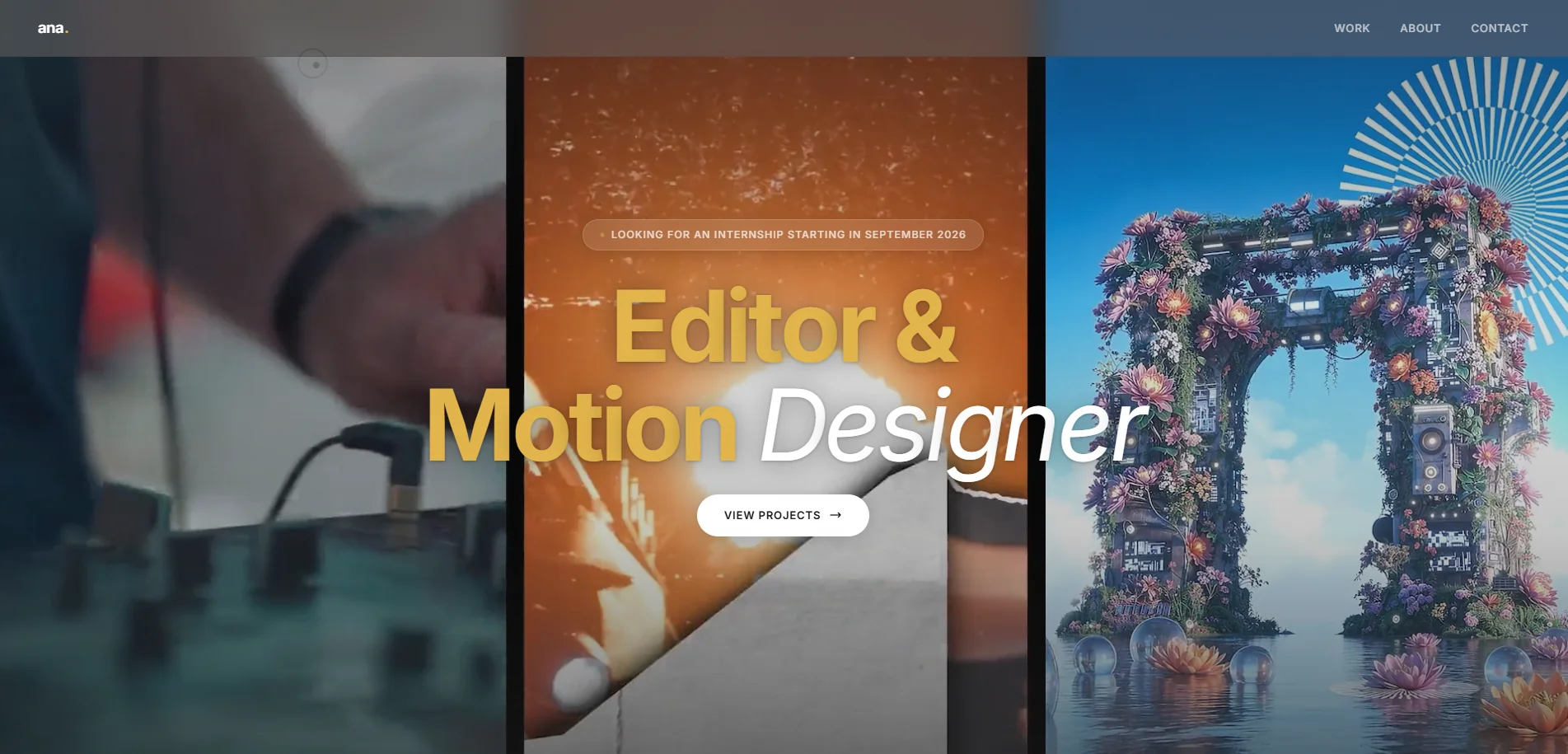 Ana — Editor & Motion Designer Portfolio